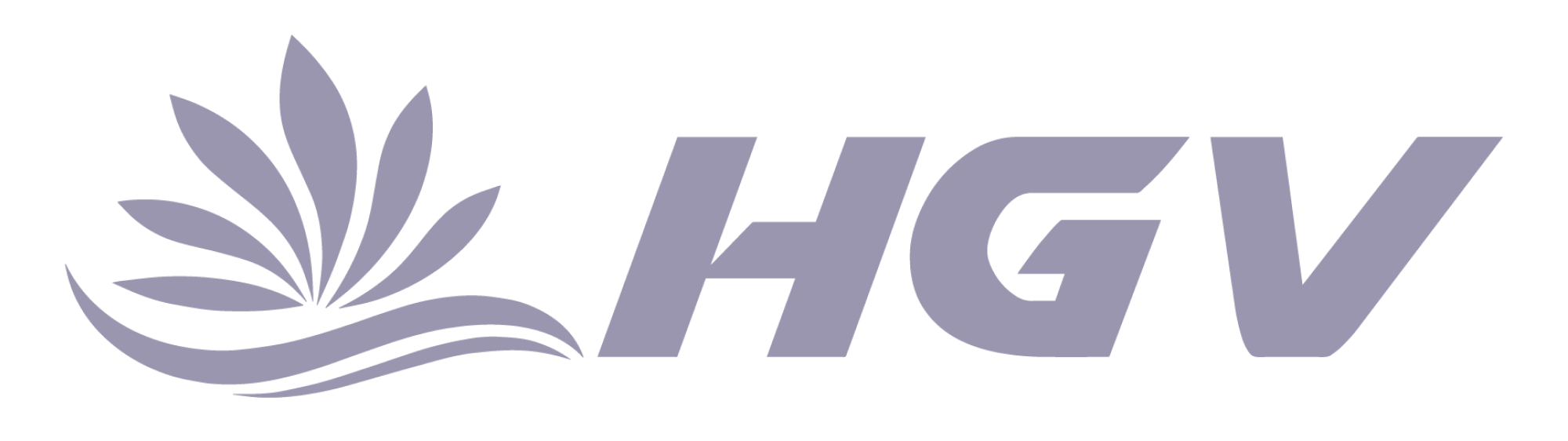 MASTER-HGV-LOGOS 3